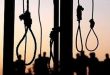 no to execution